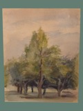 Watercolor Painting by Helga Wolfenstein of Trees at Theresienstadt
